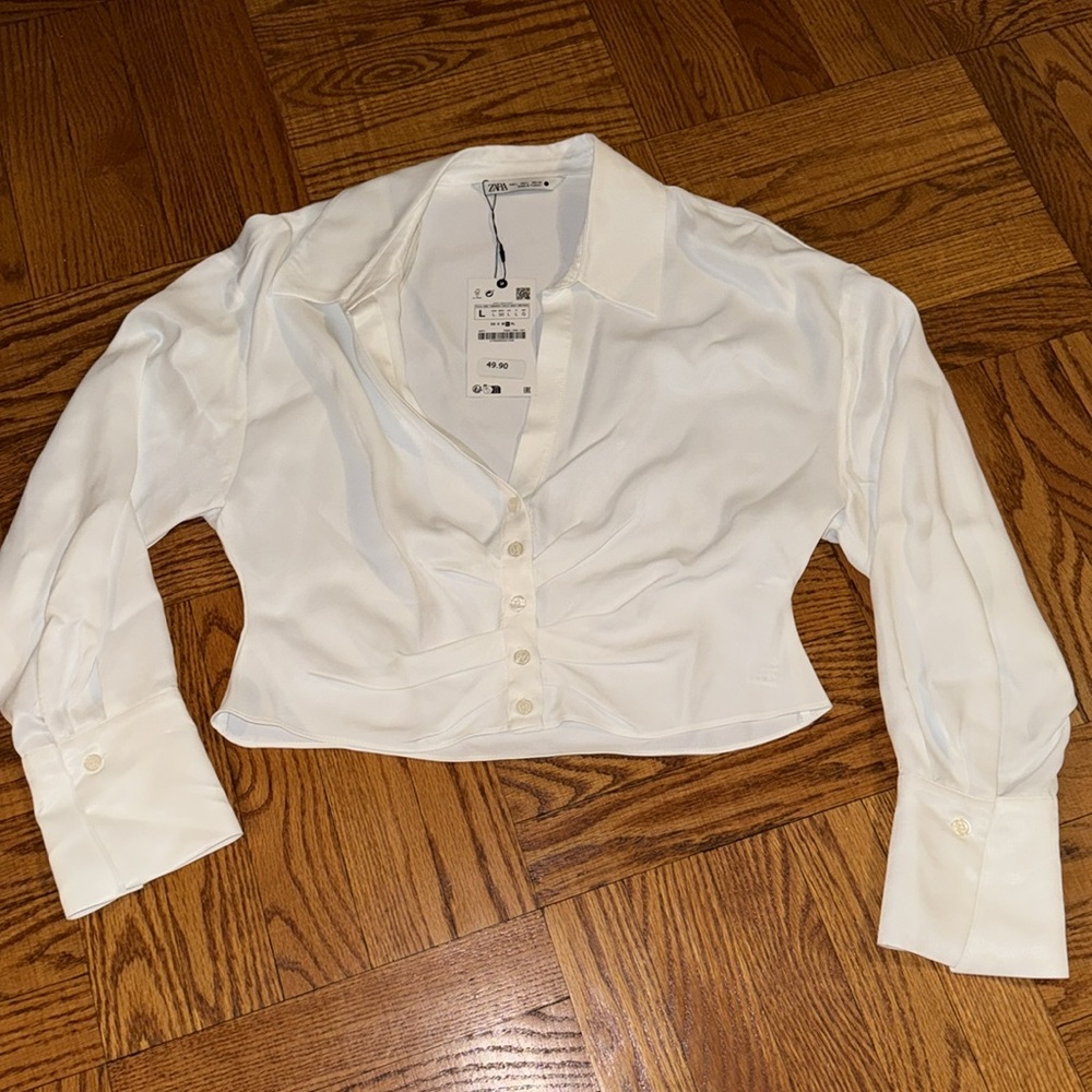 Zara button down crop top
